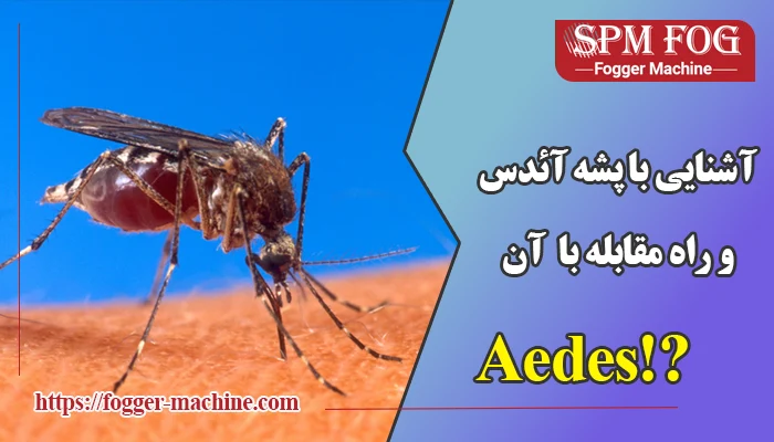 پشه آئدس چیست؟